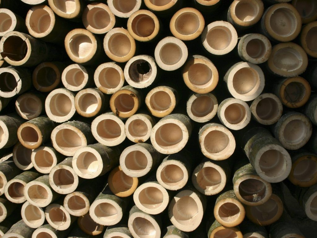 Stack of moso bamboo